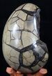 Septarian Dragon Egg Geode - Crystal Filled #37365-1